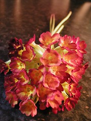 Robert's flowers
