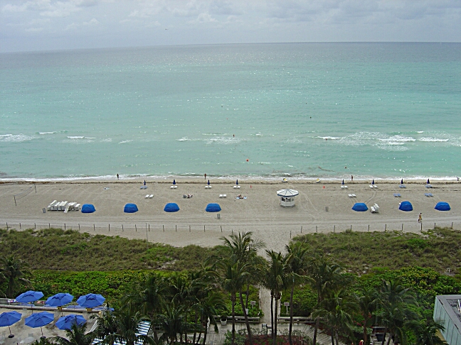 Wyndham Hotel Miami Beach