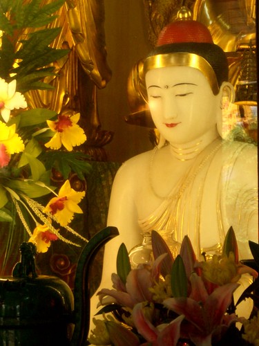 Around Great Buddha