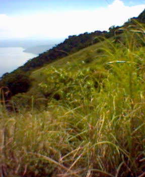 Incline to Summit and Forest Cover, Mt. Maculot
