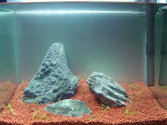 5Litre Fish Tank