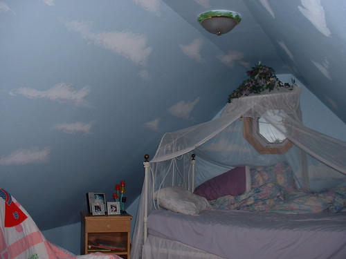 Sky wall with canopy bed